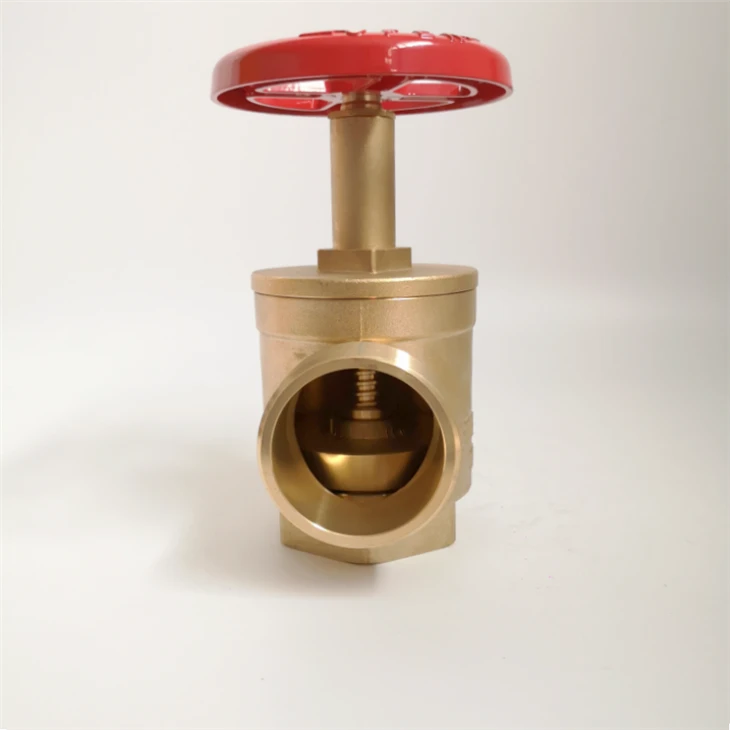 Fire Hose Angle Globe Valve