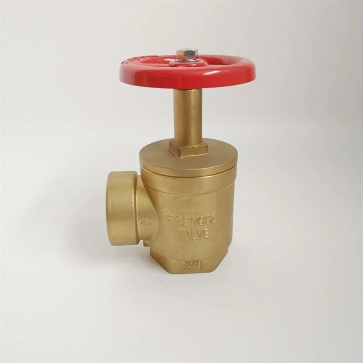 Fire Hose Angle Globe Valve